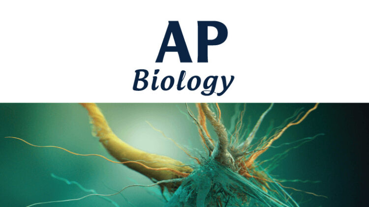 AP Biology for students who love exploring