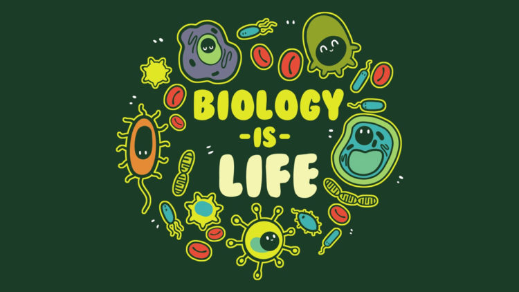 Where to teach Biology in English effectively?