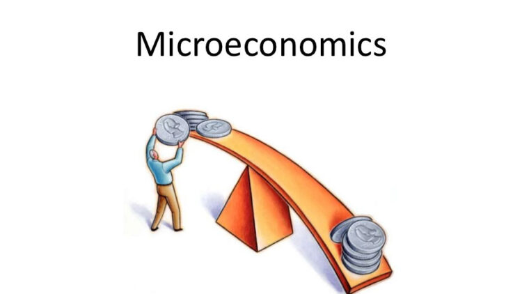 Nơi dạy kèm AP Microeconomics