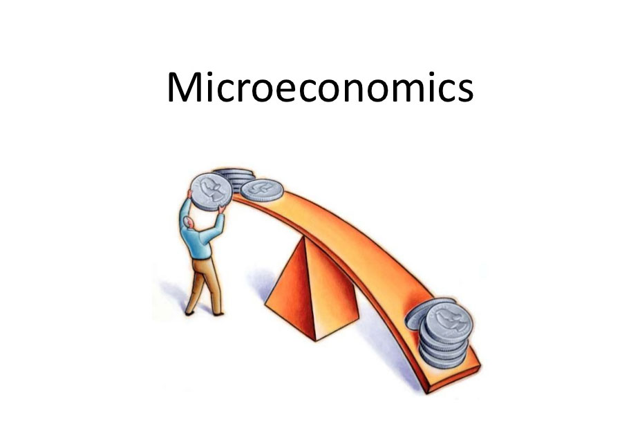 AP Microeconomics tutoring – Intertu Education