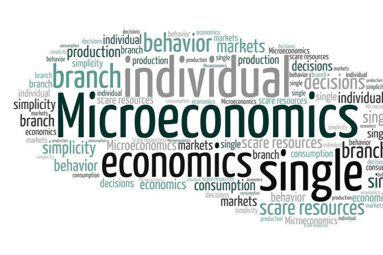 AP Microeconomics tutoring – Intertu Education